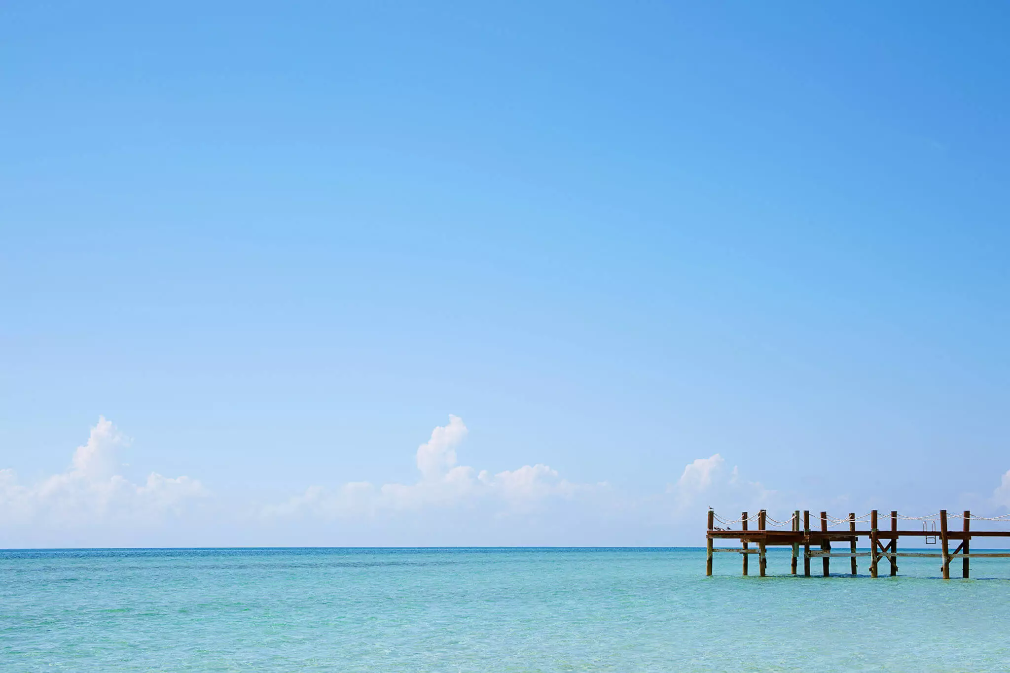 Contact Us Albany Bahamas