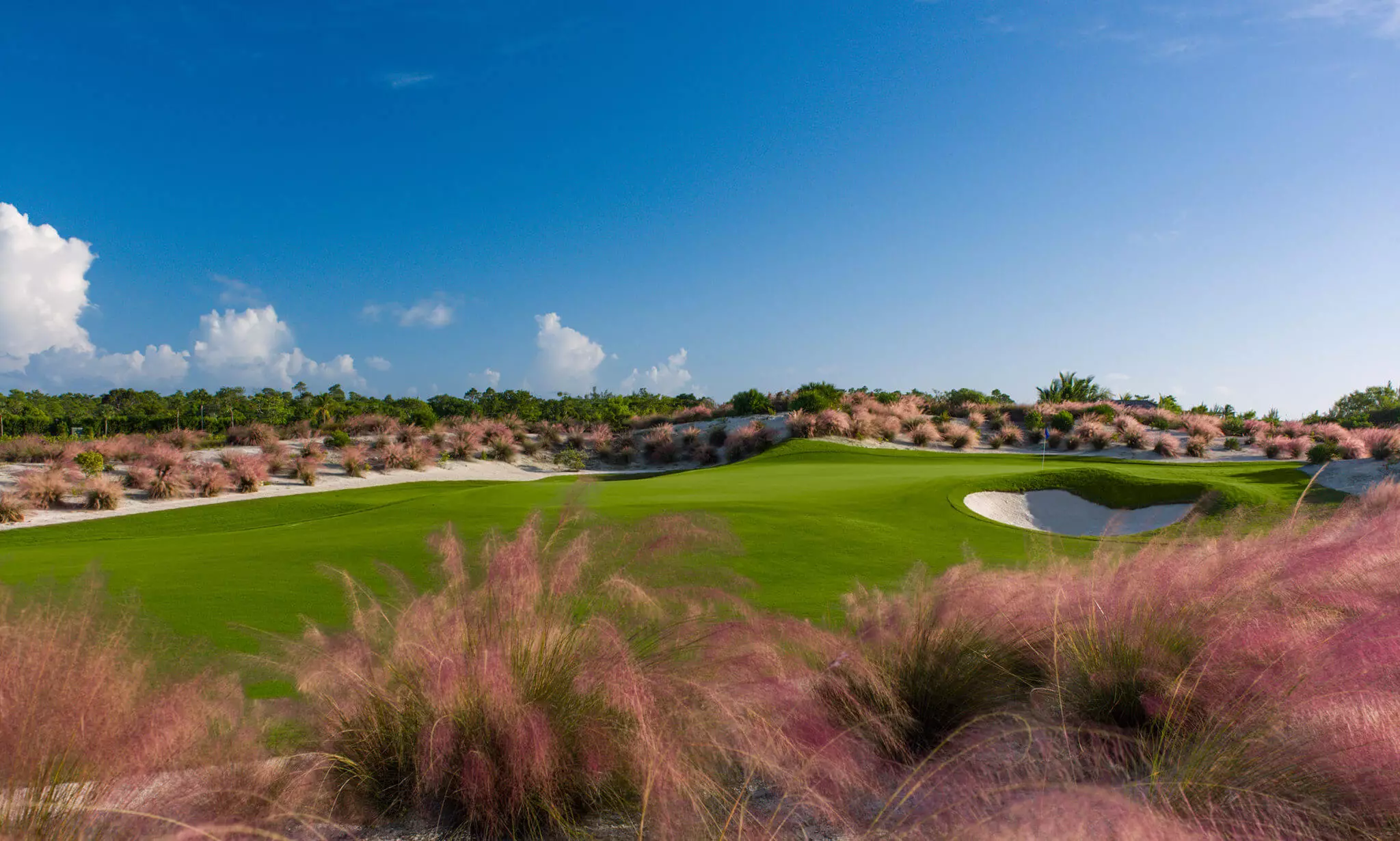 Albany Bahamas Luxury Resort Community in The Bahamas